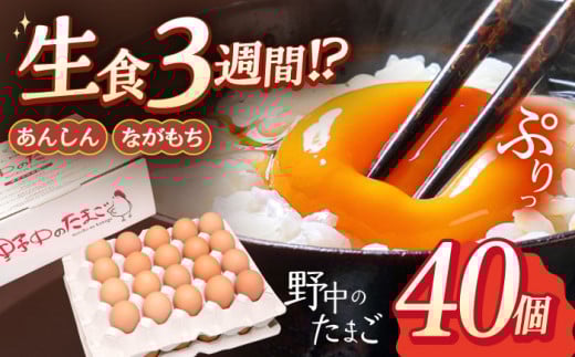 産みたて新鮮卵 野中のたまご  40個【野中鶏卵】[OAC001] / たまご 卵 長持ち 濃厚 玉子 卵料理 タマゴ 鶏卵 オムレツ 卵かけご飯 卵焼き たまご 大容量