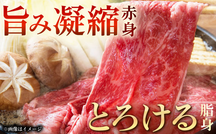 【3回定期便】長崎和牛モモスライス約500g【黒牛】 [QBD074]