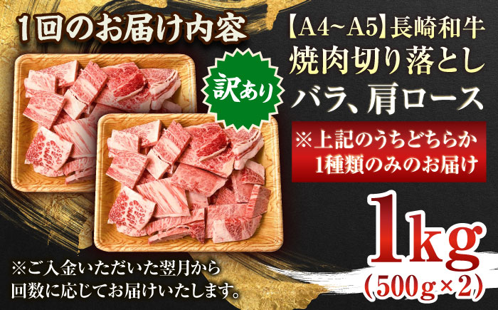 【全12回定期便】【訳あり】【A4〜A5】長崎和牛焼肉切り落とし(肩ロース・バラ）　1kg（500g×2p）【株式会社 MEAT PLUS】 [QBS044]