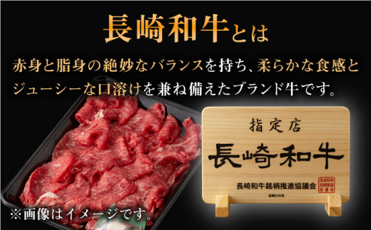 長崎和牛 切り落とし 約400g （カタ、モモ、バラ、ロース、スネのいずれか）【合同会社肉のマルシン】 [QBN016]