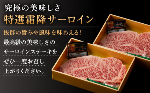 長崎和牛「出島ばらいろ」特選霜降 サーロインステーキたっぷり500g【合同会社肉のマルシン】 [QBN008]