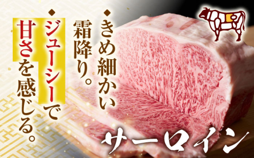 【全6回定期便】【A4〜A5】長崎和牛サーロインステーキセット　500g（250g×2枚）【株式会社 MEAT PLUS】 [QBS073]