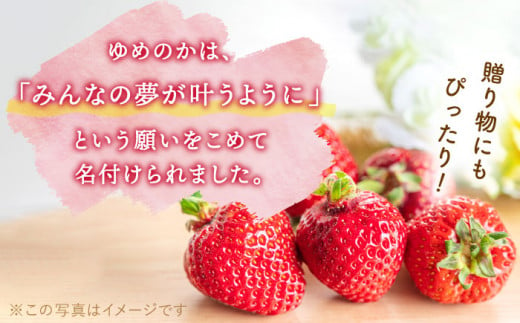 【先行予約・全2回定期便・2,3月発送】佐々町産 いちご 「ゆめのか」約1.0kg （250g×4パック）/回 （総量計2.0kg）【市丸農園 いちご研究室】 [QBF002]