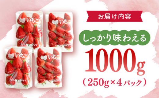 【先行予約・1月発送開始】佐々町産 いちご 「ゆめのか」約1.0kg （250g×4パック）【市丸農園 いちご研究室】 [QBF001]