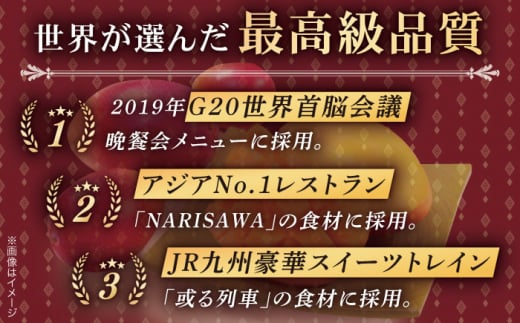 【訳あり】【心地よい至福の果肉感！】完熟プレミアム プリンセスマンゴー 不揃い3000g【堀内フルーツファーム】 [QAT015]