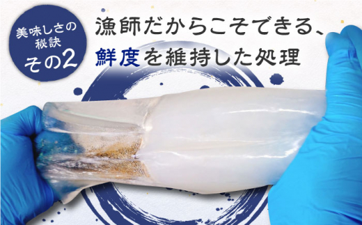 長崎県産　高級イカのゆず塩辛【楓帆】 [QBM001] いか 料亭 柚子 刺身 柚子胡椒 ヤリイカ アオリイカ しおから いか おかず つまみ