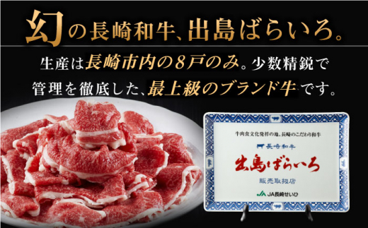 【全12回定期便】長崎和牛 出島ばらいろ 切り落とし（モモ、バラ、カタのいずれか）400g×2入 【合同会社肉のマルシン】 [QBN027]