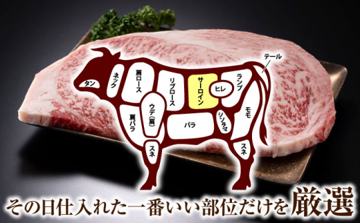 【全12回定期便】【A4〜A5】長崎和牛サーロインステーキ　250g（250g×1枚）【株式会社 MEAT PLUS】 [QBS071]