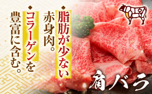 【A4〜A5】長崎和牛しゃぶしゃぶすき焼き用（肩ロース肉・肩バラ・モモ肉）1kg(500g×2p)【株式会社 MEAT PLUS】 [QBS011]