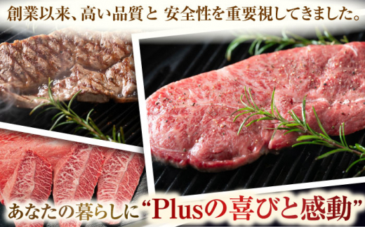 【厳選希少部位】【A4〜A5】長崎和牛ミスジステーキ　約300g（100g×3p）【株式会社 MEAT PLUS】 [QBS029]