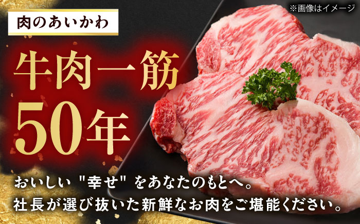 崎和牛A5ランクサーロインステーキ6枚 約120g×6枚 [QAA035]