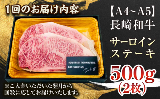 【全6回定期便】【A4〜A5】長崎和牛サーロインステーキセット　500g（250g×2枚）【株式会社 MEAT PLUS】 [QBS073]