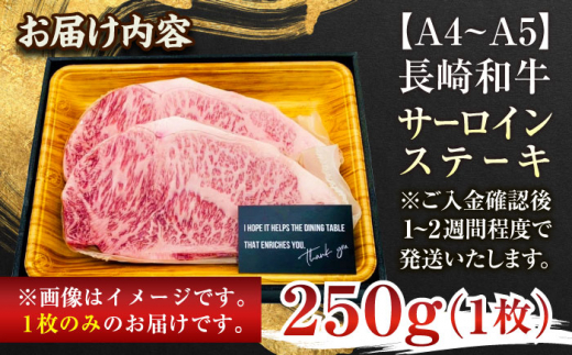 【A4〜A5】長崎和牛サーロインステーキ　250g（250g×1枚）【株式会社 MEAT PLUS】 [QBS013]