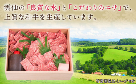 【全12回定期便】長崎和牛 長崎和牛 上焼き肉 4種 詰め合わせ セット  総計11.04kg （920g/回）【株式会社 OGAWA】 [QBI017] 牛肉 焼き肉セット 赤身 カルビ 46万4千円 464000円