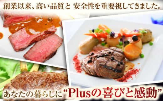 【全6回定期便】【A4〜A5】長崎和牛ヒレステーキ　450g（150g×3枚）【株式会社 MEAT PLUS】 [QBS127]