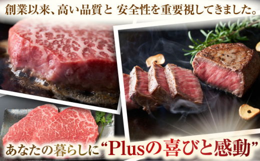 【A4〜A5】長崎和牛モモステーキ　約500g（100g×5p）【株式会社 MEAT PLUS】 [QBS025]