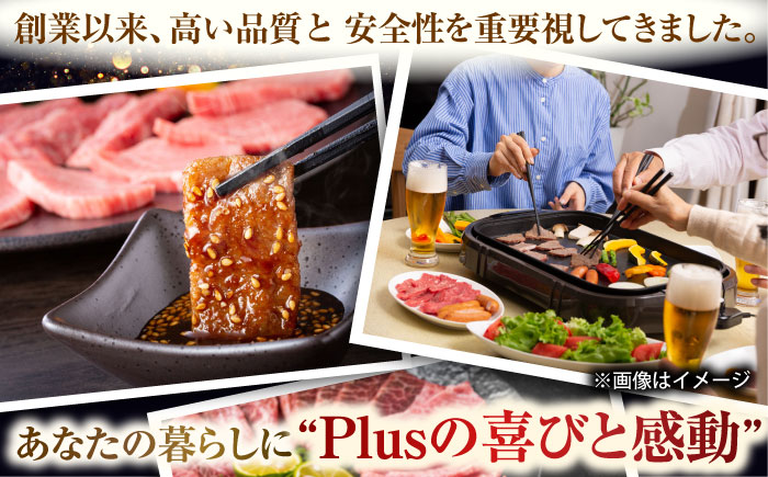 【全12回定期便】【訳あり】【A4〜A5】長崎和牛焼肉切り落とし(肩ロース・バラ）　500g【株式会社 MEAT PLUS】 [QBS041]