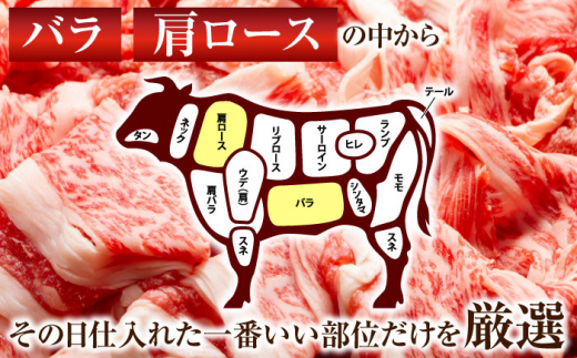 【訳あり】【A4〜A5】長崎和牛焼肉切り落とし(肩ロース・バラ）　1kg（500g×2p）【株式会社 MEAT PLUS】 [QBS004] 肉 牛肉 こま切れ A4〜A5ランク 訳アリ ワケあり しゃぶしゃぶ すき焼き 長崎和牛