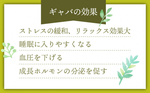 【心からのリラックスを】釜炒り ギャバロン 茶 ティーバック 30個入×2袋【上ノ原製茶園】 [QAO012]