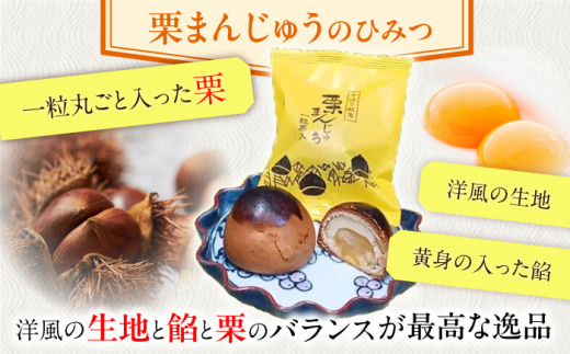 【当店自慢！お菓子詰め合わせ】佐々の 焼き菓子 Bセット 計15個入【栗まんじゅう本舗 小田製菓】 [QAR013]