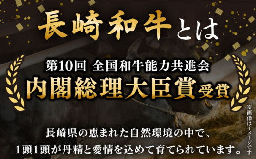 【全6回定期便】「希少部位 たっぷり 食べ比べ 」長崎和牛 贅沢3種の ステーキ Bセット 計13.2kg （約2.2kg/回）【黒牛】 [QBD066]  ヒレ ランプ リブロース  91万円 910000円