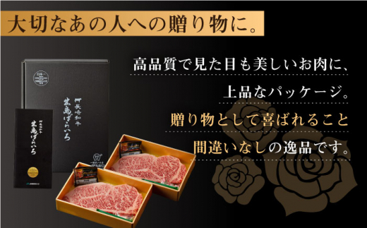 【全6回定期便】長崎和牛 出島ばらいろ  サーロイン ステーキ500g（250g×2枚） [QBN020]