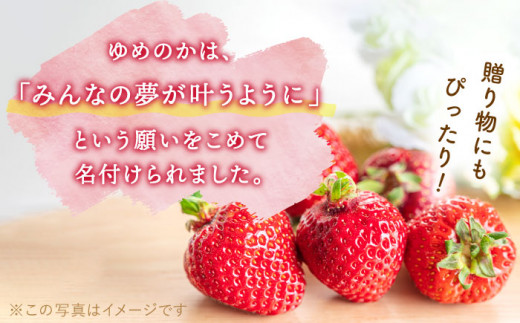 【先行予約・全2回定期便・1,2月発送】佐々町産 いちご 「ゆめのか」約1.0kg （250g×4パック）/回 （総量計2.0kg）【市丸農園 いちご研究室】 [QBF002]