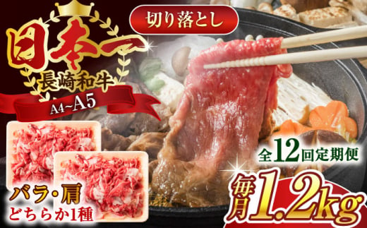 【全12回定期便】【A4〜A5】長崎和牛切り落とし　1.2kg(600g×2p）【株式会社 MEAT PLUS】 [QBS053]