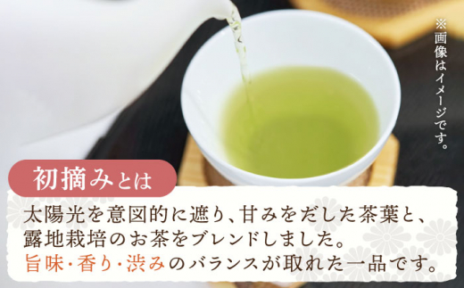 【全6回定期便】「こだわりブレンド茶」さざの 有機栽培茶 初摘み （100g×3本/回）【宝緑園】 [QAH014]