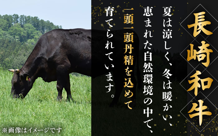 【6回定期便】長崎和牛　ハンバーグ　10個入り（各200g）【黒牛】 [QBD081]