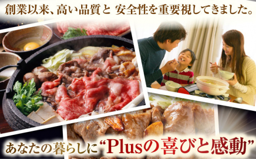 【全6回定期便】【A4〜A5】長崎和牛切り落とし　500g【株式会社 MEAT PLUS】 [QBS046]