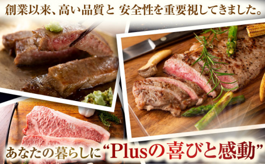 【A4〜A5】長崎和牛サーロインステーキセット　1kg（250g×4枚）【株式会社 MEAT PLUS】 [QBS015]