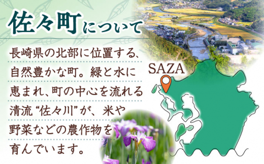 【返礼品なし】長崎県佐々町 ふるさと応援寄附金（10万円分） [QBT007]