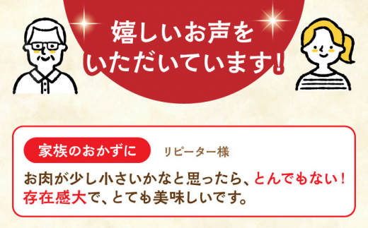 【全12回定期便】長崎角煮まぶし5袋【株式会社岩崎食品】 [QBR033]