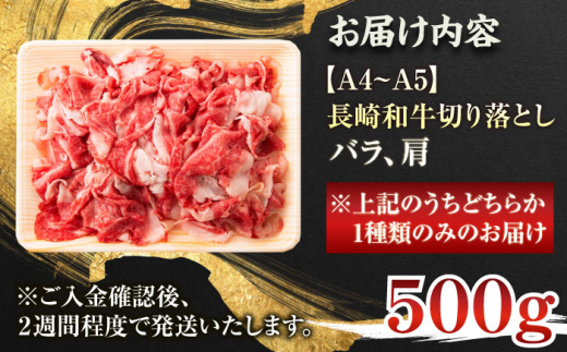 【A4〜A5】長崎和牛切り落とし　500g【株式会社 MEAT PLUS】 [QBS005]