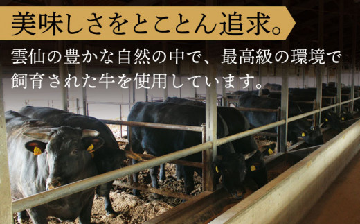 【全6回定期便】長崎和牛 長崎和牛 上焼き肉 4種 詰め合わせ セット  総計5.52kg （920g/回）【株式会社 OGAWA】 [QBI016] 牛肉 焼き肉セット 赤身 カルビ 23万2千円 232000円