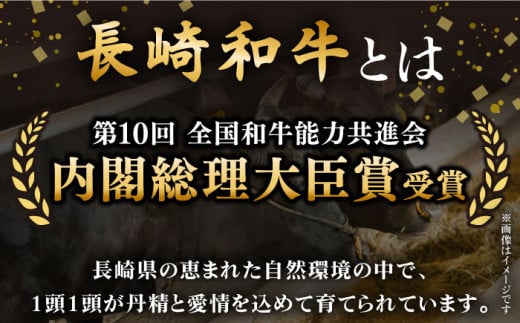 【全12回定期便】「希少部位 食べ比べ 」長崎和牛 贅沢3種の ステーキ Bセット 計13.2kg （約1.1kg/回）【黒牛】 [QBD064] ヒレ ランプ リブロース 91万円 910000円