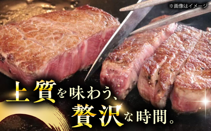 崎和牛A5ランクサーロインステーキ6枚 約120g×6枚 [QAA035]