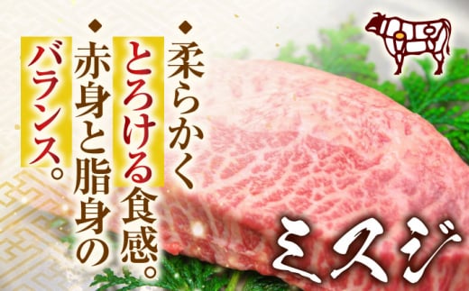 【全6回定期便】【厳選希少部位】【A4〜A5】長崎和牛ミスジステーキ　約1kg（100g×10p）【株式会社 MEAT PLUS】 [QBS124]