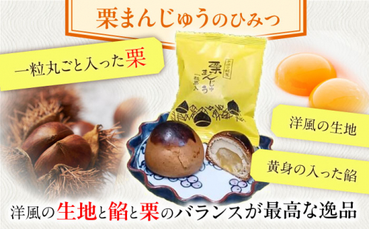 【当店自慢！お菓子詰め合わせ】「長崎かすてら」とこだわり4種の焼き菓子 セット 計11個入【栗まんじゅう本舗 小田製菓】 [QAR015]