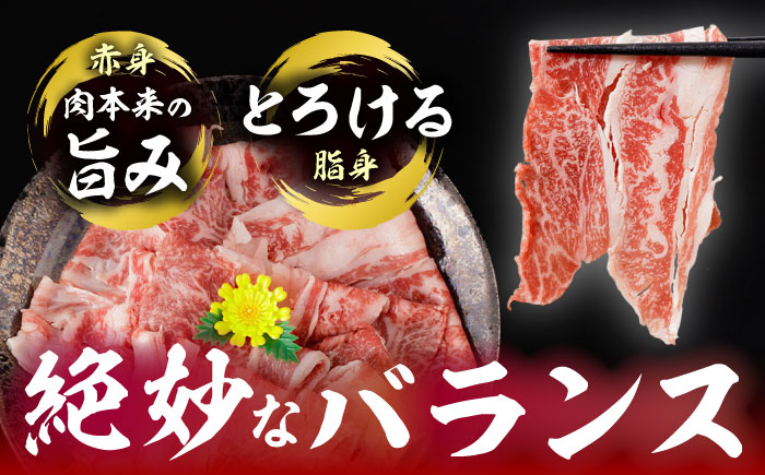 長崎和牛 切り落とし 計900g（300g×3パック）【日本ハムマーケティング株式会社】 [QBW001]