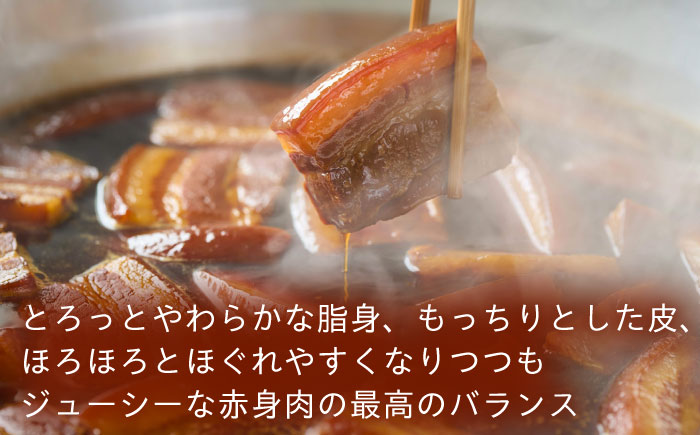 長崎名物 皮付三枚肉の角煮まん 10個（5個袋×2） [QAX017]