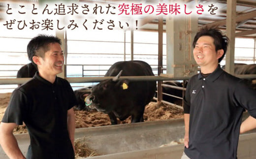 【受賞歴多数！】長崎和牛 サーロイン ステーキ 約1.0kg【株式会社 OGAWA】 [QBI004] 牛肉 和牛 焼き肉 バーベキュー 6万1千円 61000円