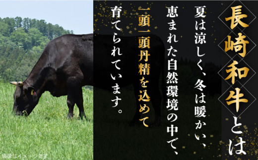 【全3回定期便】「ヘルシーにお肉を楽しむ♪」長崎和牛 赤身 切り落とし（モモ） 計1.5kg （約500g/回）【黒牛】 [QBD047]