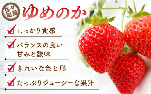 【先行予約・全2回定期便・2,3月発送】佐々町産 いちご 「ゆめのか」約1.0kg （250g×4パック）/回 （総量計2.0kg）【市丸農園 いちご研究室】 [QBF002]