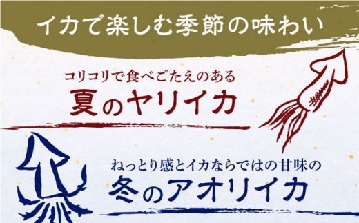 長崎県産　高級イカのゆず塩辛【楓帆】 [QBM001] いか 料亭 柚子 刺身 柚子胡椒 ヤリイカ アオリイカ しおから いか おかず つまみ