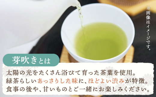 【全6回定期便】「あっさりとした有機栽培茶」さざの 有機栽培茶 芽吹き （100g×3本/回）【宝緑園】 [QAH026]