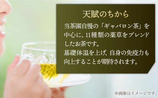 【全12回定期便】【当茶園自慢のお茶セット】ブレンド茶 「天賦のちから」・釜炒り茶 緑茶 ティーバック （120g＋30個入）×2/回【上ノ原製茶園】 [QAO038]