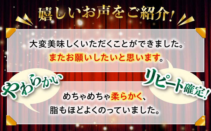 【年内配送】【A4〜A5】長崎和牛切り落とし　1kg(500g×2p）【株式会社 MEAT PLUS】 [QBS006] 牛肉 切り落とし きりおとし 牛肉 切り落とし しゃぶしゃぶ すき焼き 長崎和牛 牛肉 きりおとし