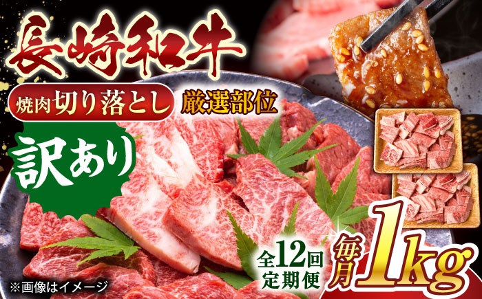 【全12回定期便】【訳あり】【A4〜A5】長崎和牛焼肉切り落とし(肩ロース・バラ）　1kg（500g×2p）【株式会社 MEAT PLUS】 [QBS044]